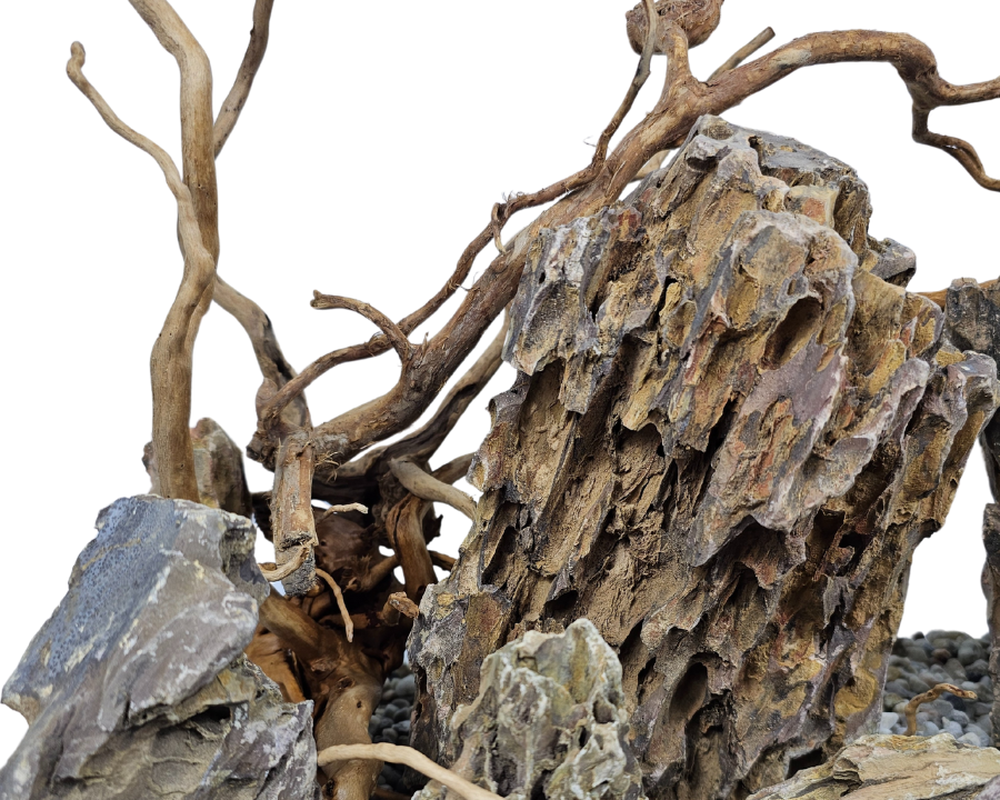 dragon stone and red moor