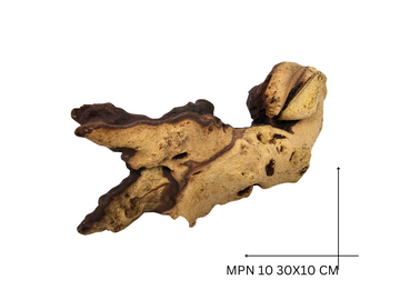 Mopani Koreň – MPN 10