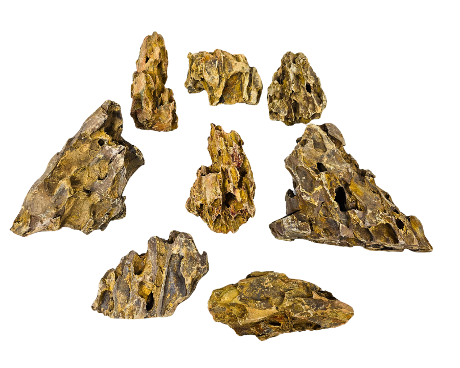 dradon stone