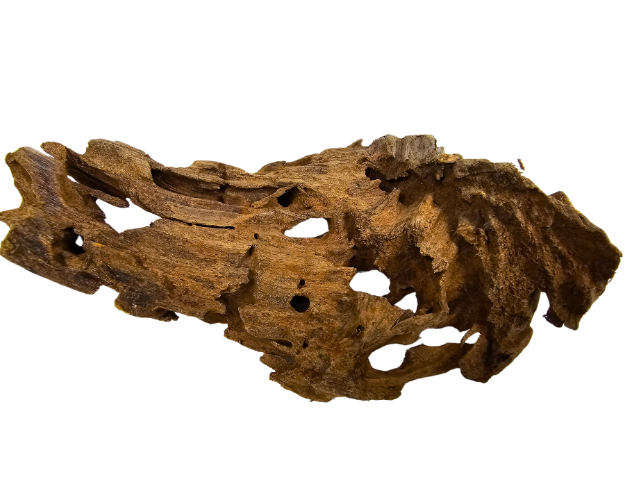 Yati Wood