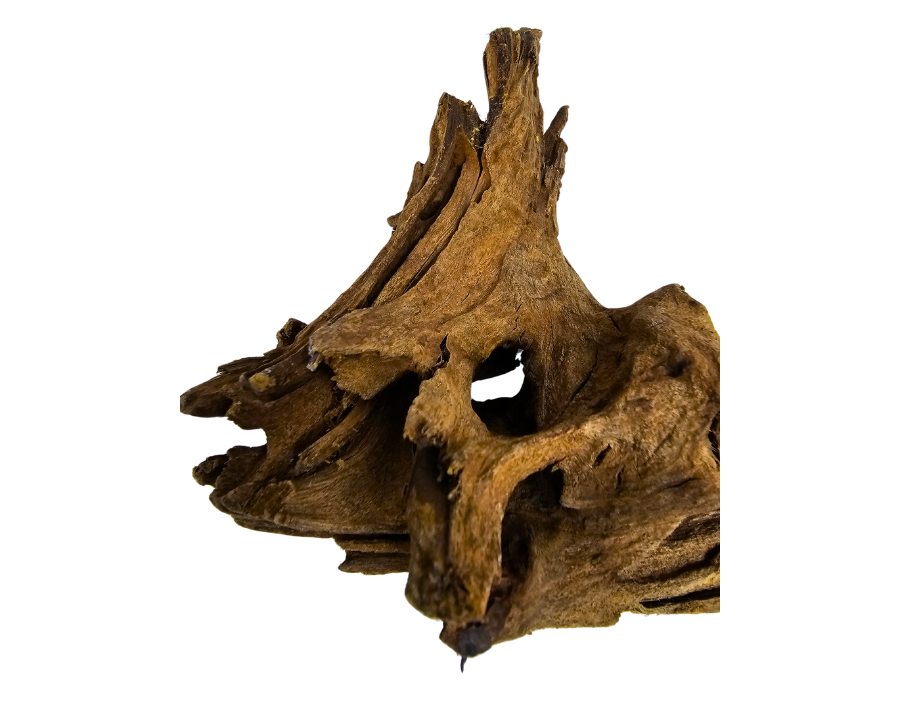 Yati Wood