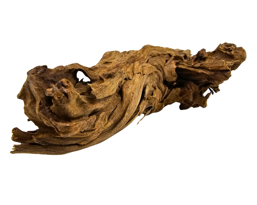 Yati Wood