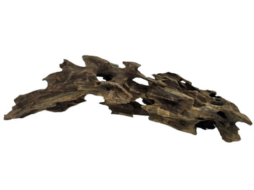 Drachenholzwurzeln 20-55 cm