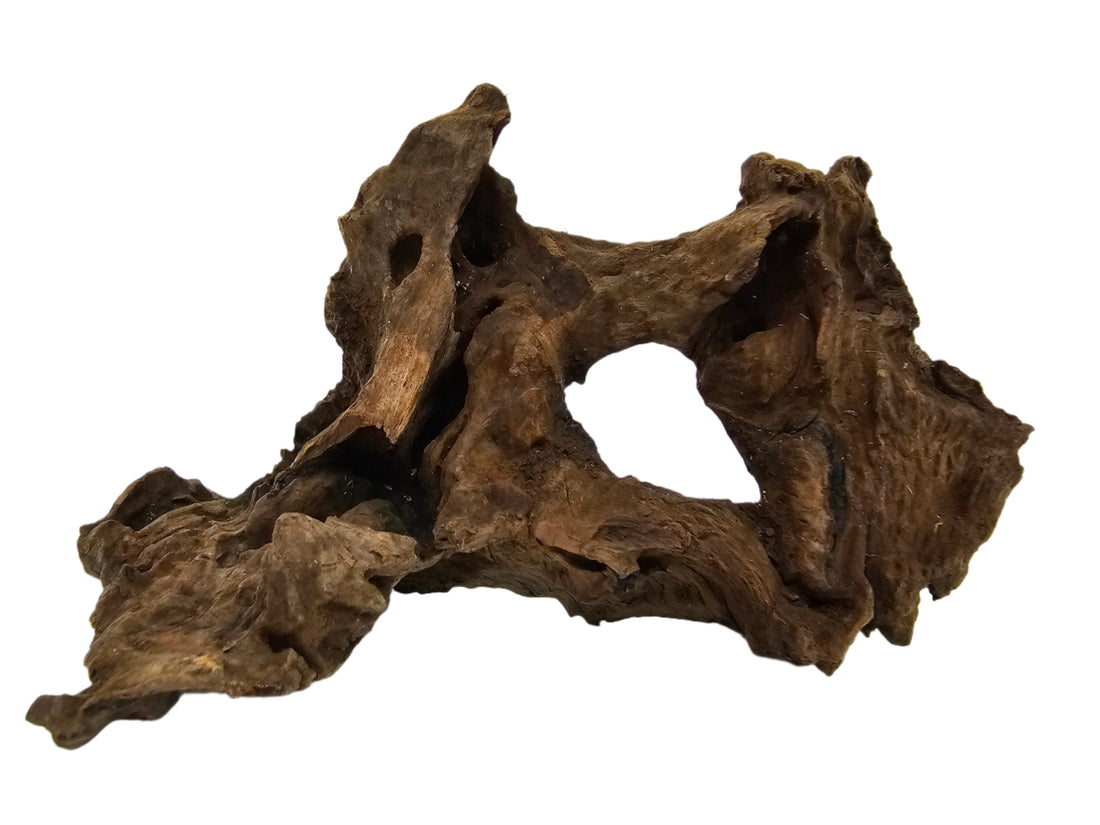 Savanna Wood Korene 10-15 cm