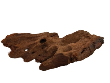 Mangrovenwurzeln 20-25 cm