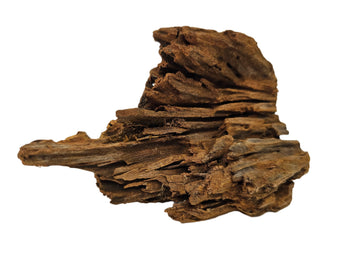 Mangrovenwurzeln 15-20 cm