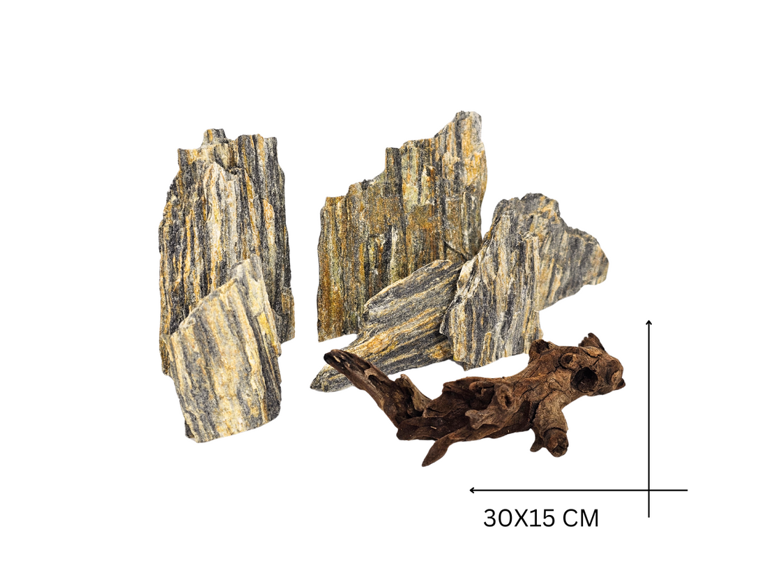 Wood Stone & Savanna Wood Set – 1 kg (6 ks kameňov, 1 koreň)