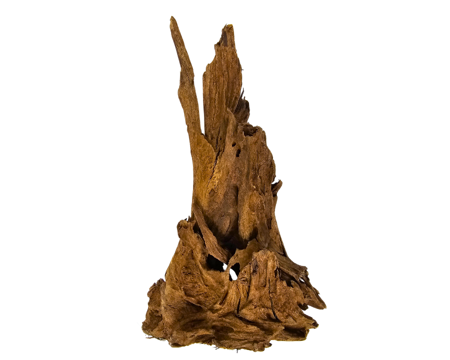 Yati Wood