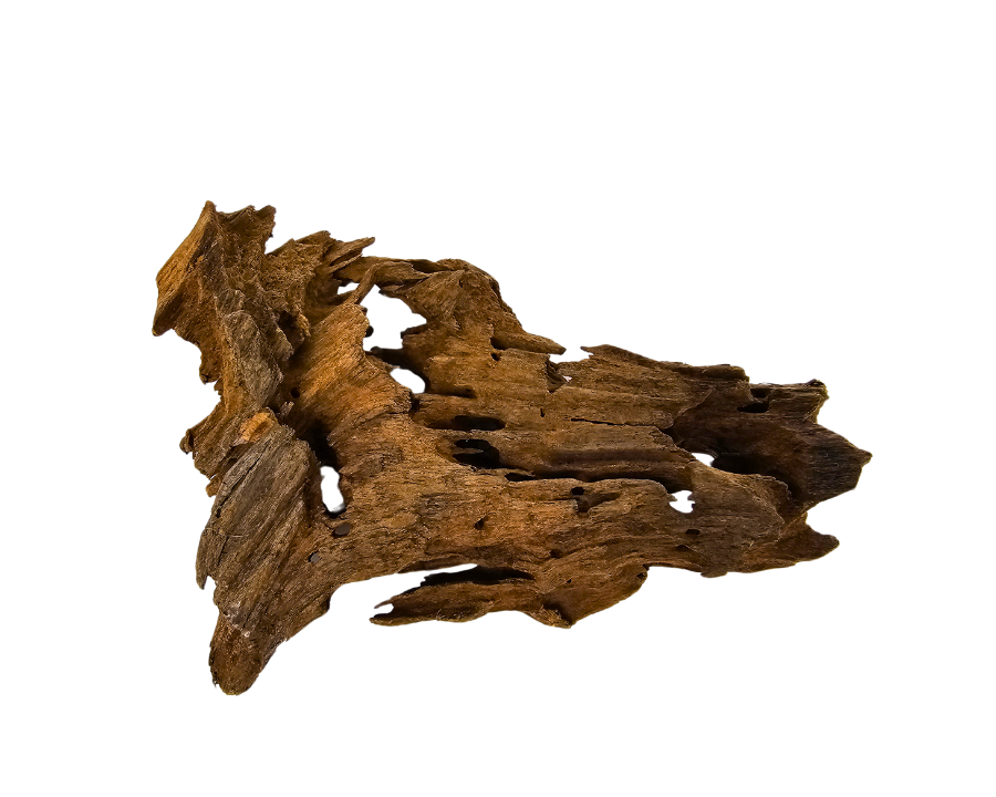 Yati Wood