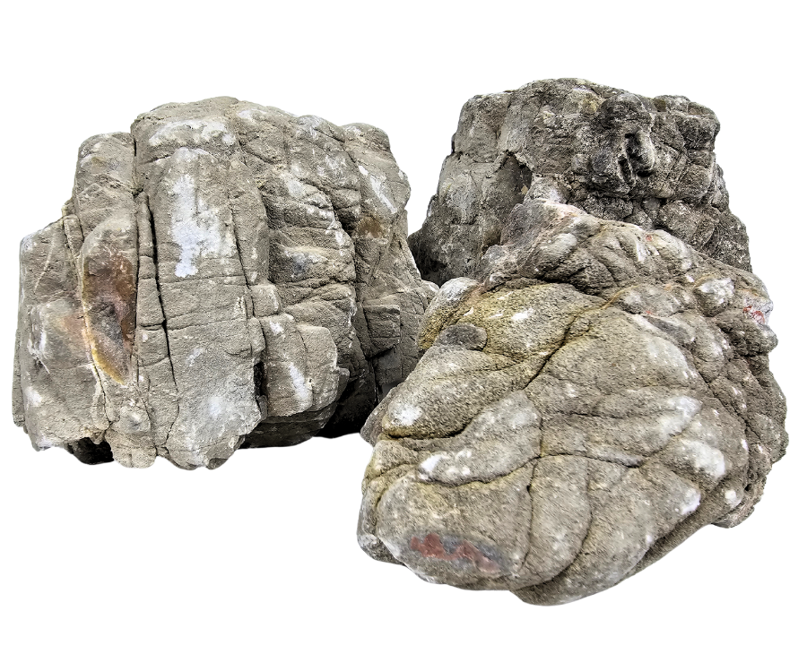 elderly stone aquascaping