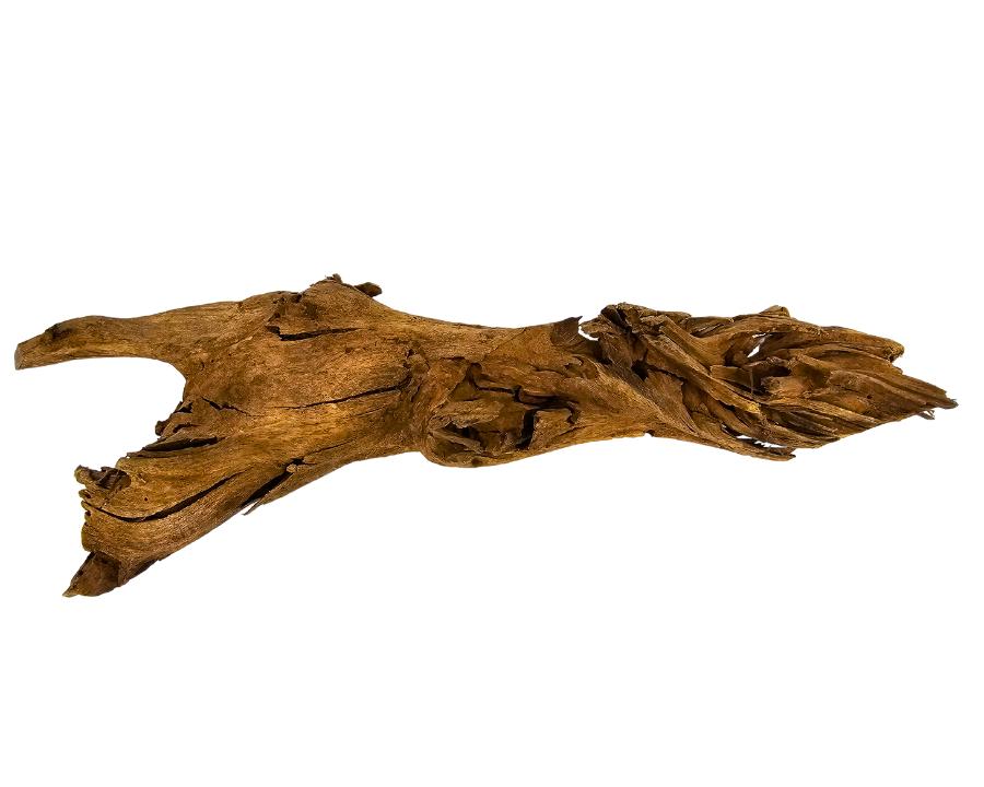 Yati Wood