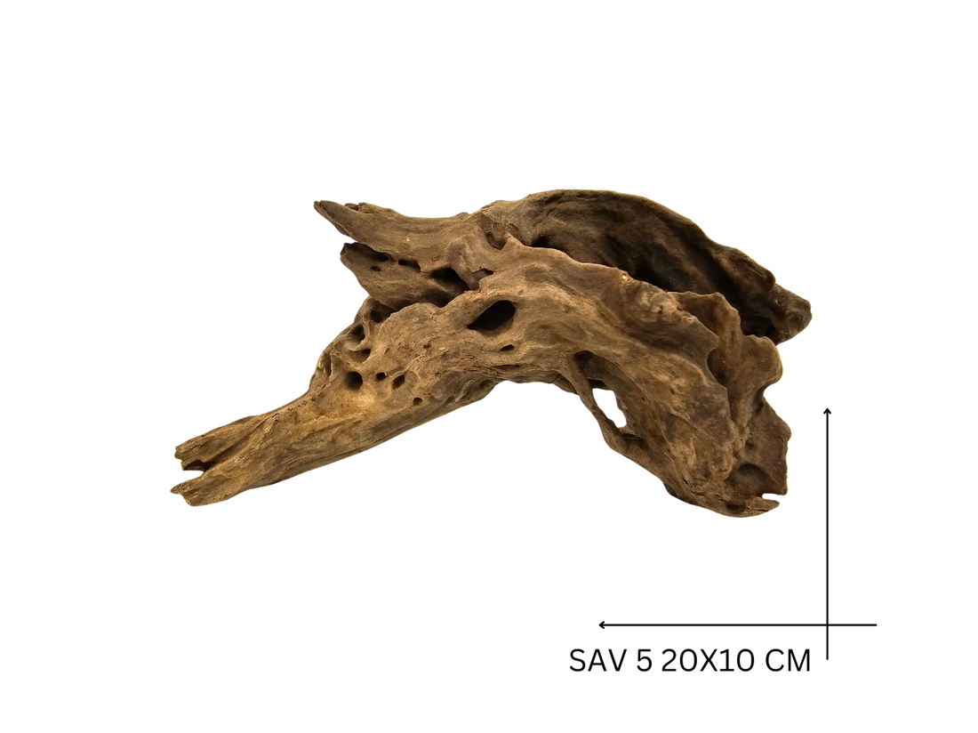 Savanna Wood Koreň – SAV 5