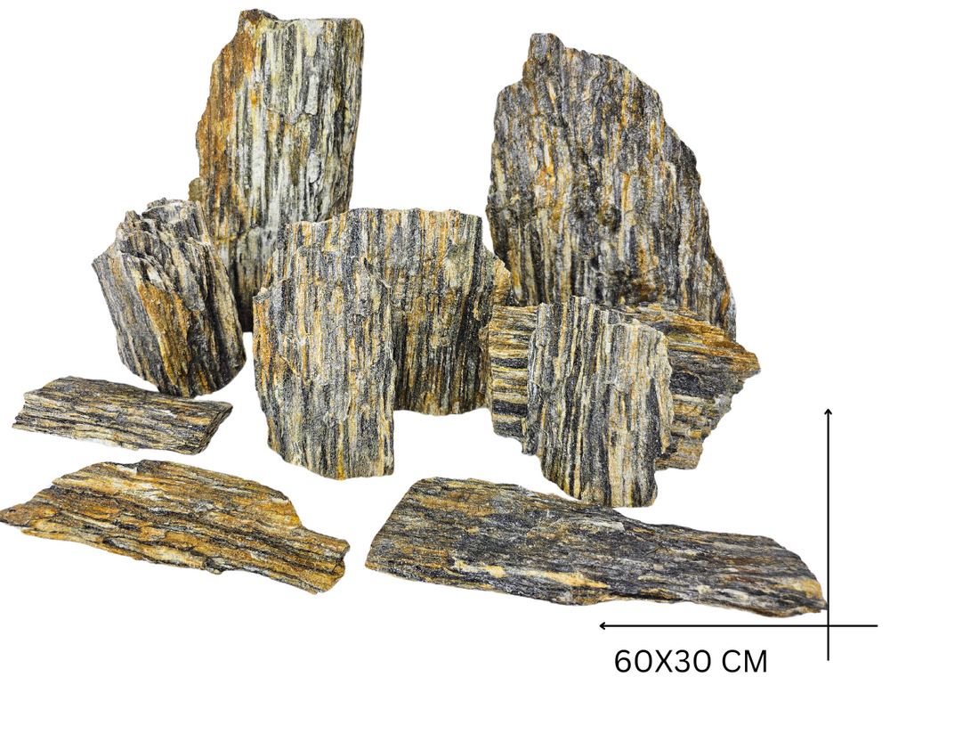 Wood Stone Set – 10 kg (10 ks kameňov)