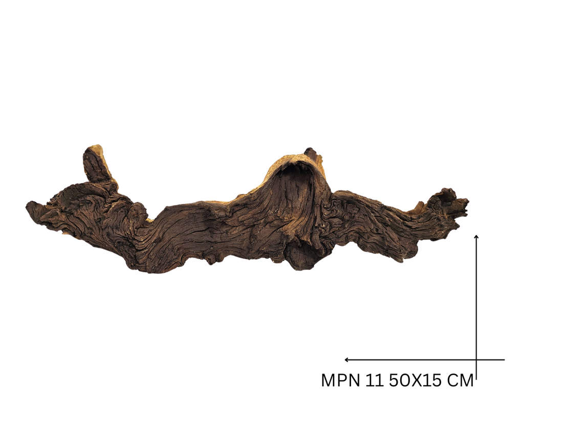 Mopani Koreň – MPN 11