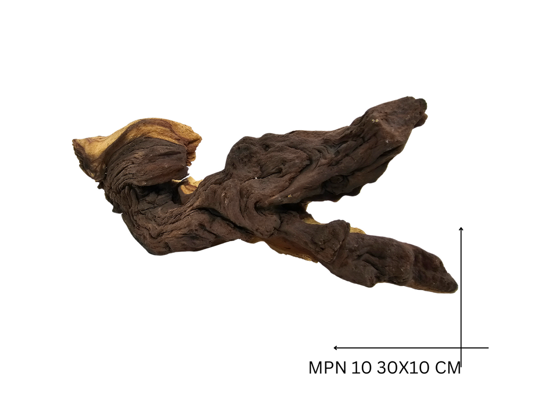 Mopani Koreň – MPN 10