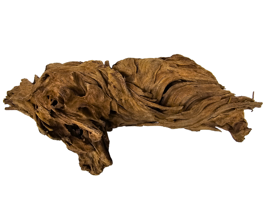 Yati Wood