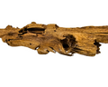 Yati Wood