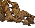 Yati Wood