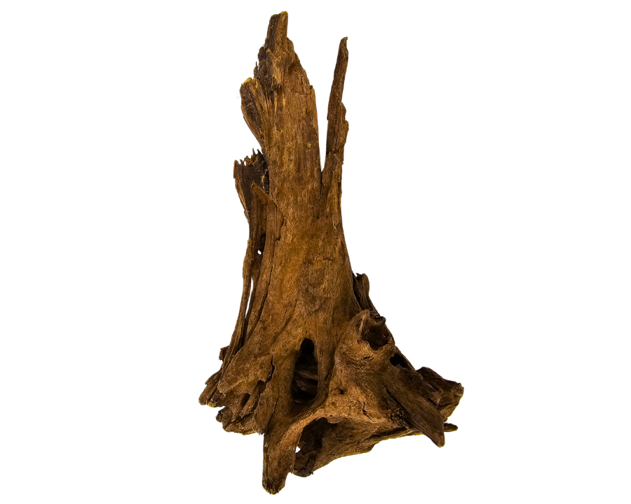 Yati Wood