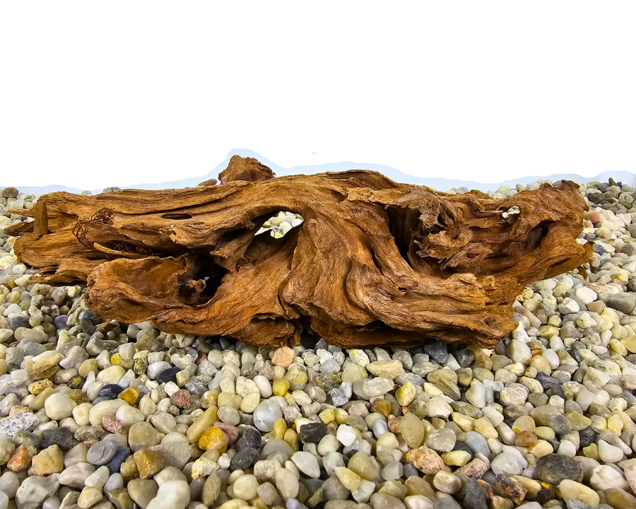 Yati Wood