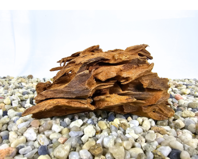 Yati Wood