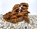 Yati Wood