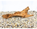 Yati Wood