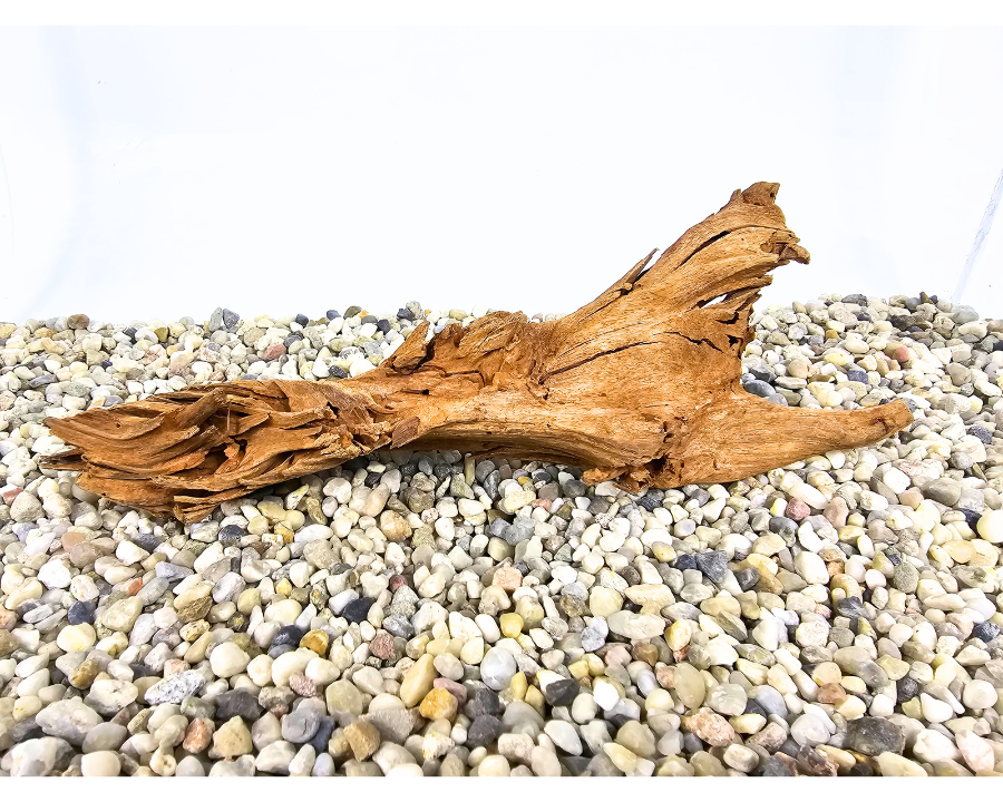 Yati Wood