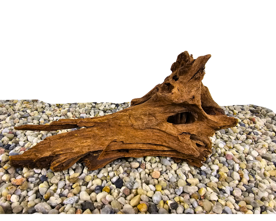 Yati Wood