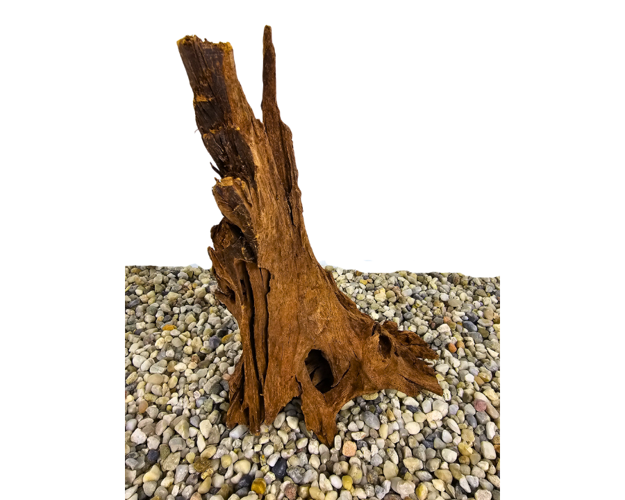 Yati Wood
