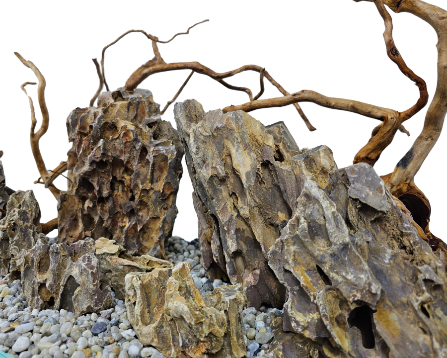 dragon stone and red moor