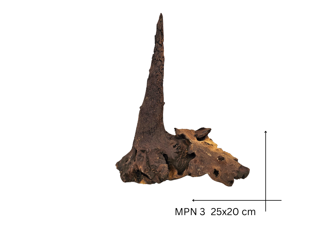 Mopani Koreň – MPN 3