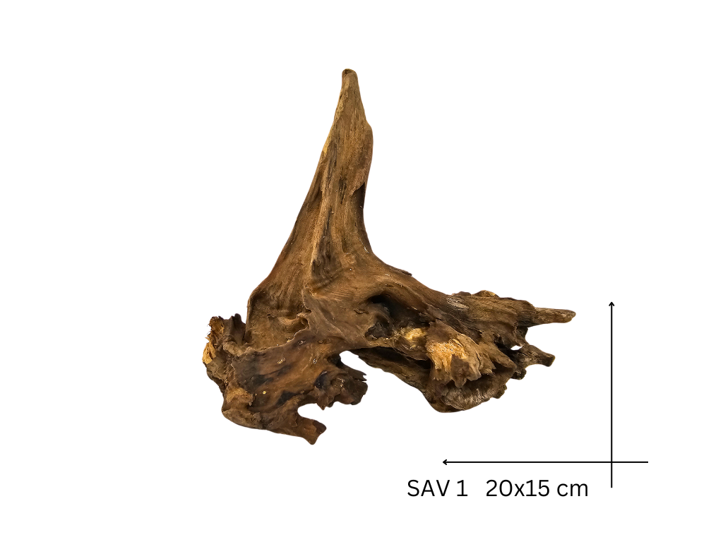 Savanna Wood Koreň – SAV 1