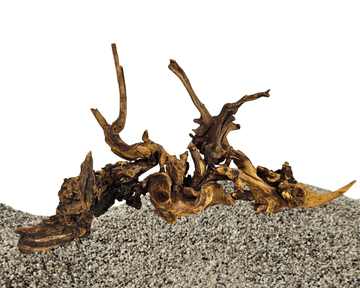 savanna wood
