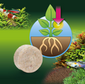 JBL ProFlora Ferropol Tabs