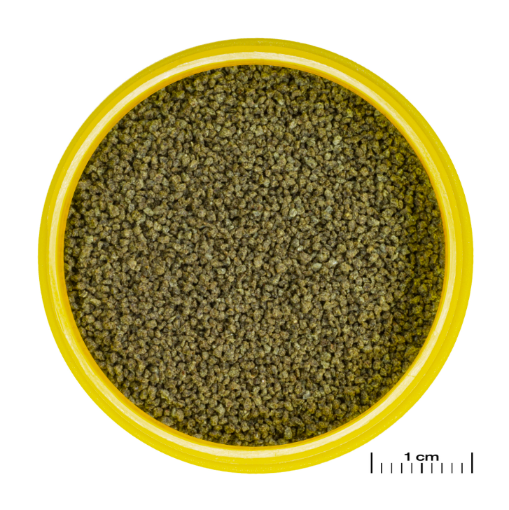 JBL PRONOVO DANIO GRANO XS