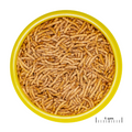 JBL PRONOVO BETTA INSECT STICK S