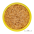 JBL PRONOVO RED INSECT STICK S