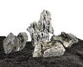 Seiryu Stone – ikonický kameň pre aquascaping