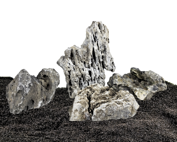 Seiryu Stone – ikonický kameň pre aquascaping