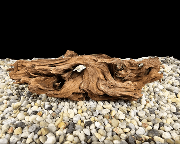 yati wood