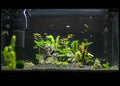 akvarium s ciernym cadicovym strkom a pieskom