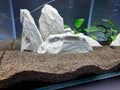 akvarium s rastlinomi a ciernym pieskom