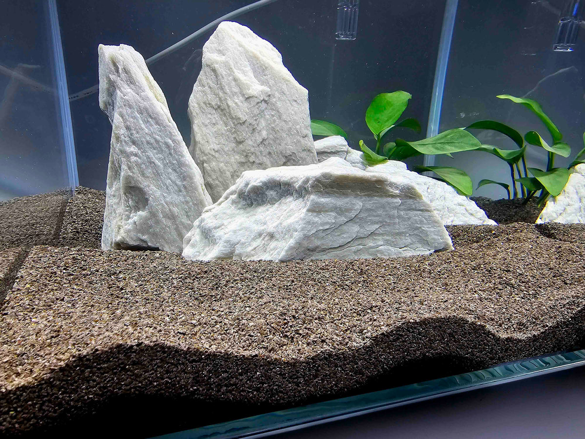 akvarium s rastlinomi a ciernym pieskom