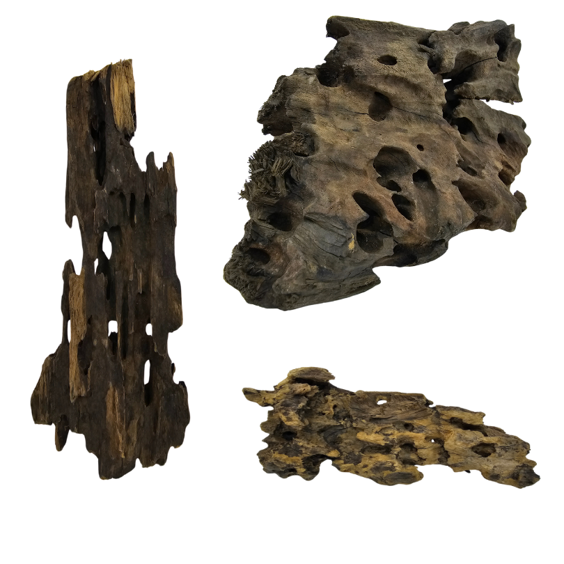 Dragon Wood Sety