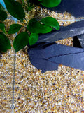 akvarium s kremicitym strkom a ciernou bridlicou