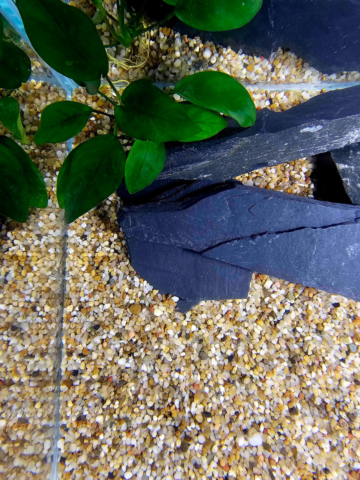 akvarium s kremicitym strkom a ciernou bridlicou