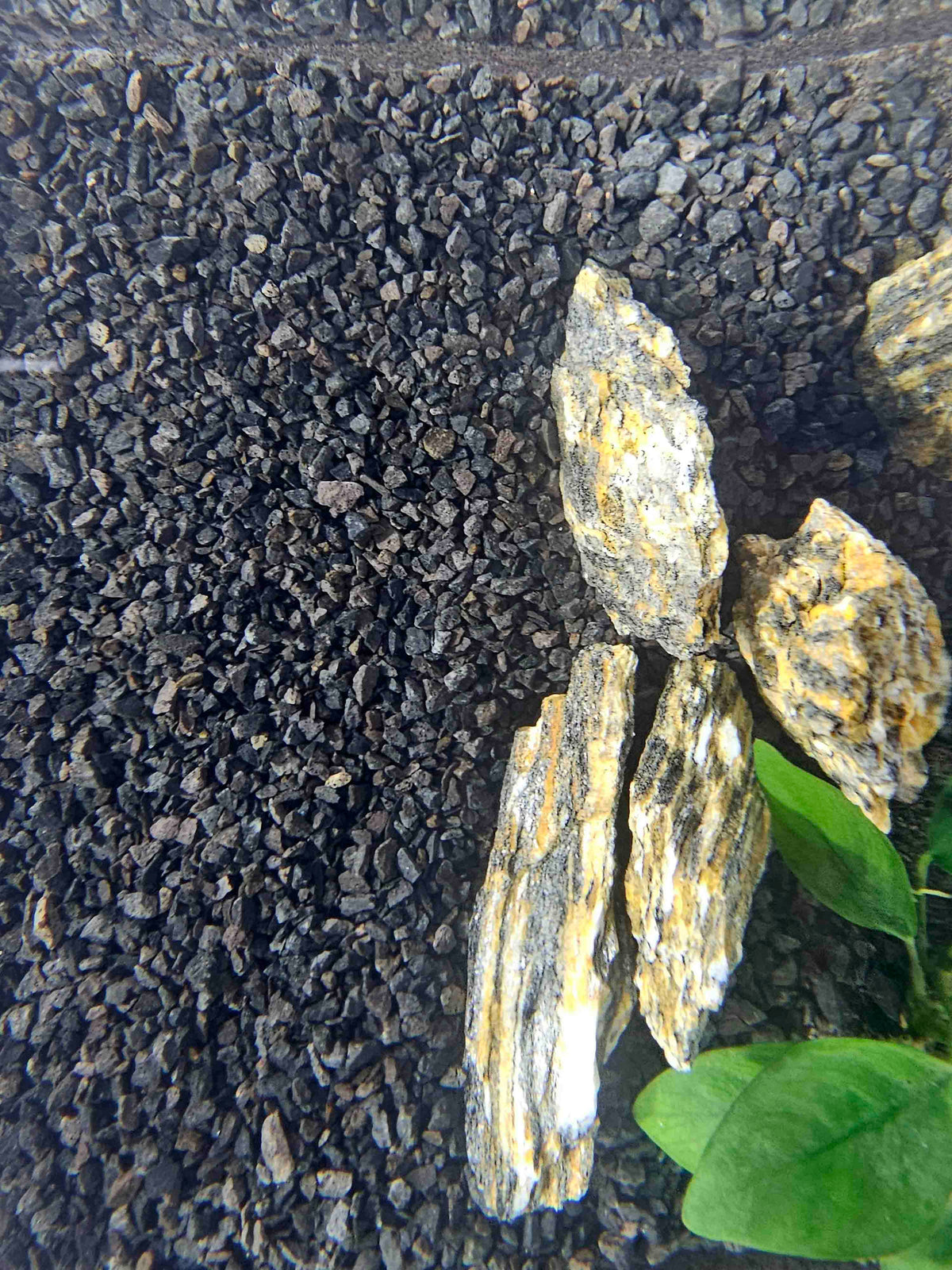 akvarium s ciernym cadicovym strkom a pieskom